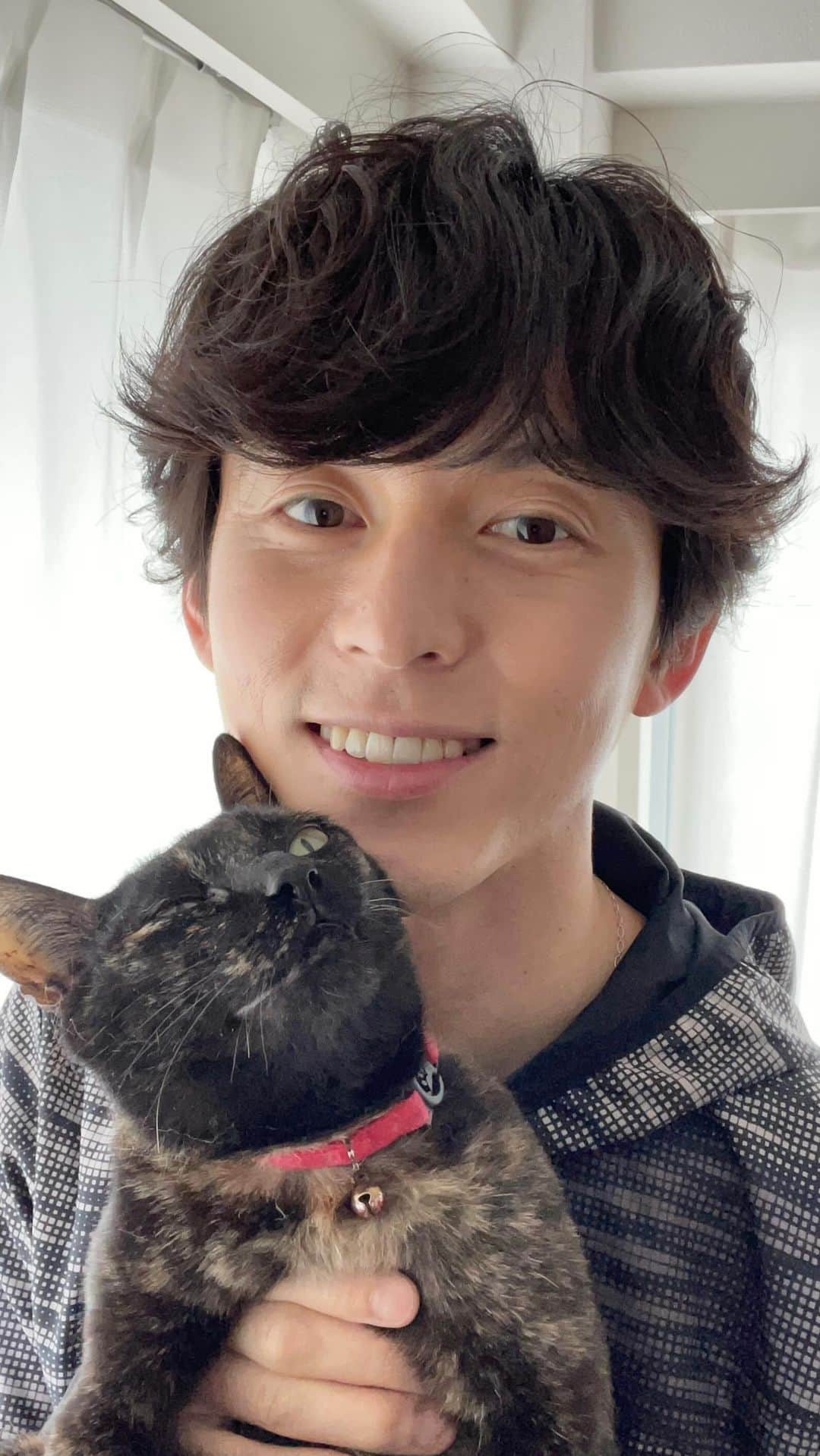 片岡信和のインスタグラム：「週１インスタライブ♪ 今日も元気なココちゃん、流石だ。  #猫 #猫のいる暮らし  #ねこ #ねこすたぐらむ  #保護猫 #保護猫と暮らす #家族  #cat #catsofinstagram  #catlover #catlife」