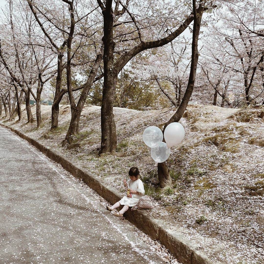 yuiのインスタグラム：「🌸🌸🌸  今年は開花が早かったから お誕生日までもたないか？ と少しよぎったけど、 桜吹雪が美しくて、桜の絨毯もかわいくて、 ちょっとあやしかったお天気も味方してくれて 最高のタイミングでした🌸  上を見てもピンク、 下を見てもピンク、 どこもかしこもpink pink pink な とってもかわいい写真が撮れた💕  ロケフォトは むすめが自分で選んだ 白い刺繍のドレス。 1歳のお誕生日の時に着た 思い出のドレス。  あの時は引きずるほど ズルズルの丈感だったけど、 2年でこんなに大きくなりました♡  . . . . . #daughter#birthday#3yearsold#cherryblossom#さくら#桜#誕生日#春#春生まれ#4月生まれ#３歳誕生日#こどものいる暮らし#暮らし#日々」