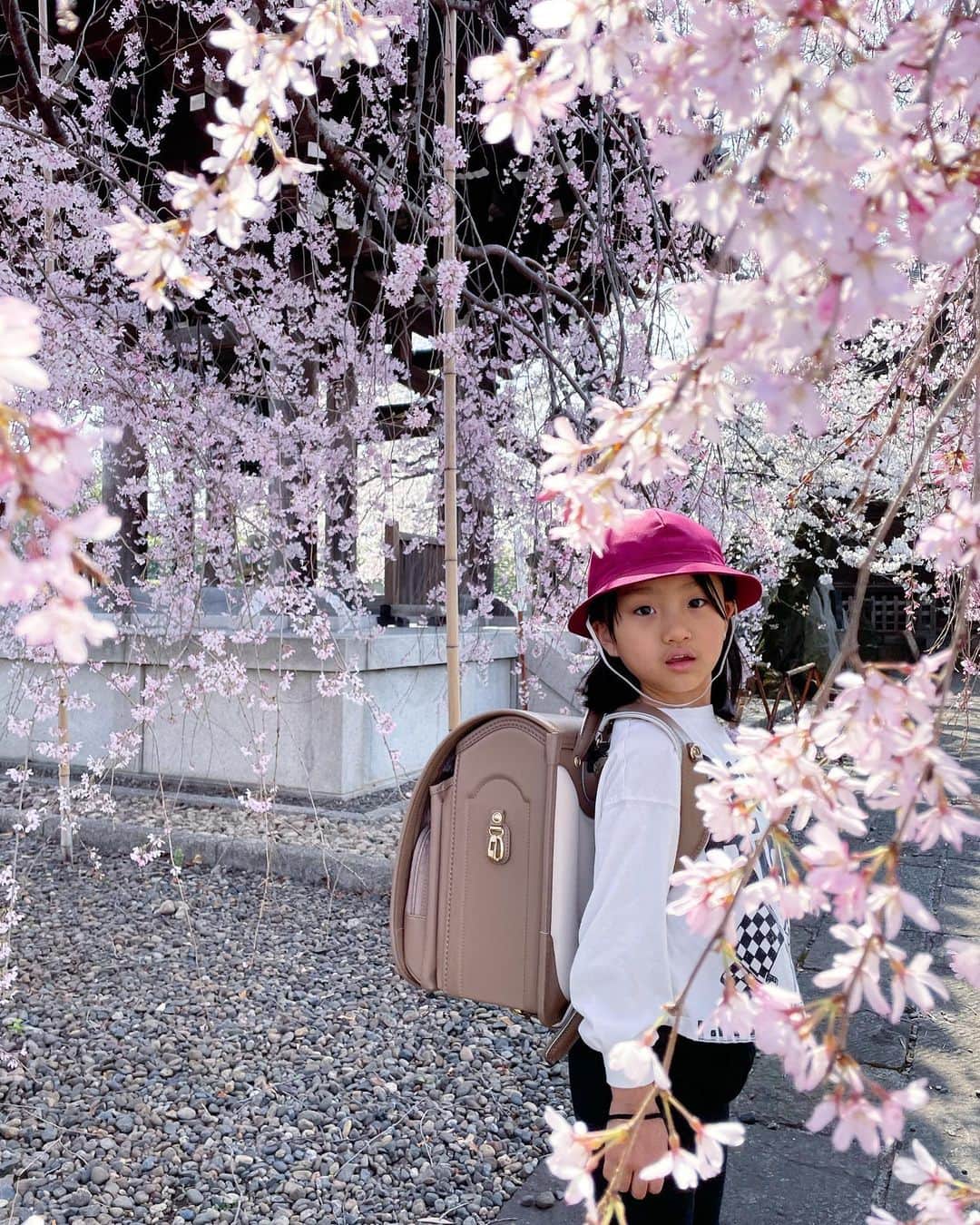 秋定麻紀子さんのインスタグラム写真 - (秋定麻紀子Instagram)「入学おめでとう。  うれしい。 さみしい。 ふあん。 しんぱい。 たのしみ。 がんばろう。  いっぱいいっぱいありがとう。  #新一年生 #小学生 #入学式」4月7日 13時20分 - makiakisada