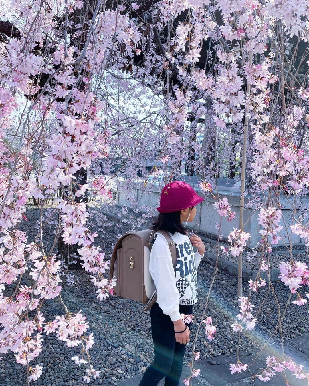 秋定麻紀子のインスタグラム：「入学おめでとう。  うれしい。 さみしい。 ふあん。 しんぱい。 たのしみ。 がんばろう。  いっぱいいっぱいありがとう。  #新一年生 #小学生 #入学式」