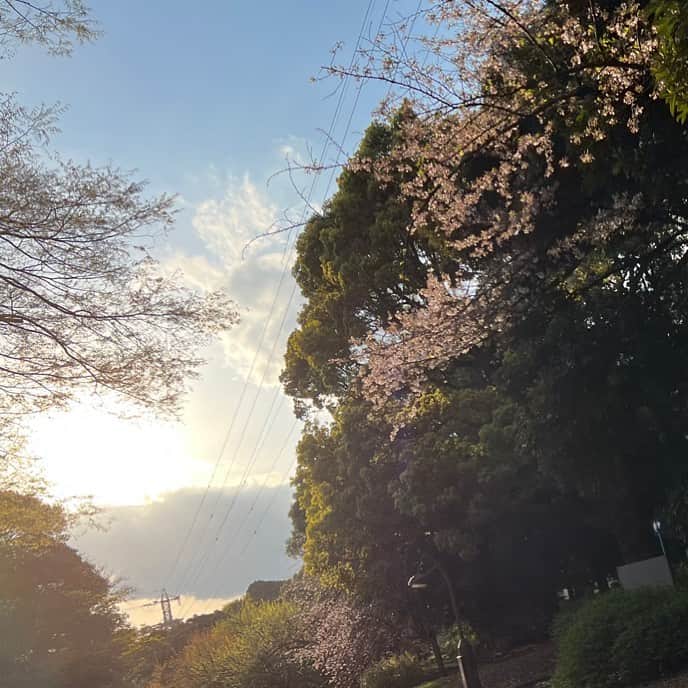 北村太樹のインスタグラム