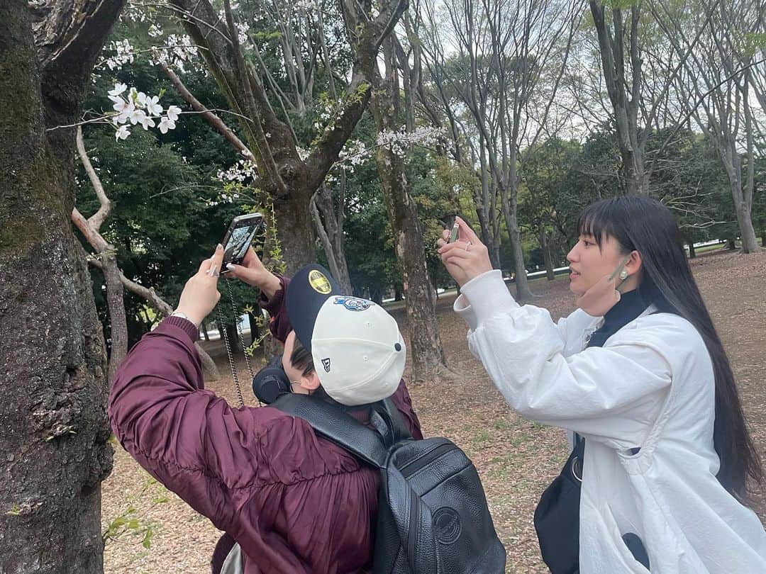 大湖せしるさんのインスタグラム写真 - (大湖せしるInstagram)「⁡ ⁡ お友達との お花見 ⁡ あゆ かの ⁡ ふたりが楽しそうで 嬉しい  また来年も  ね ⁡ #倉知あゆか #七木奏音 #いっぱい撮ったから #いっぱい載せる #最後の写真が一番好き」4月7日 13時56分 - cecile_daigo