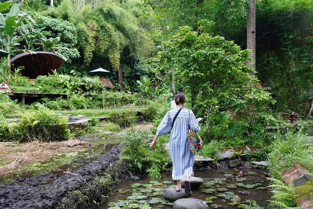 前田有紀さんのインスタグラム写真 - (前田有紀Instagram)「バリ島在住のカナダ人のアーティスト、ジョン・ハーディーと、デザインチームIbuku @ibukubali の建築との出会いは、バリ島の滞在をより記憶を色濃いものにしてくれました。  Bambo indah @bambuindah は、敷地内に自然を装う植栽が植えられているのではなく、手付かずの渓谷の中に寄り添うように建築が存在してる唯一無二のホテル。竹でできた木の上のツリーハウスは圧巻です。  "At Bambo indah, the jungle is not around you,  rather you are the midst of the jungle."  自然の中にある醍醐味として、たくさんの昆虫、動物とも出会いました。トイレやシャワーは屋外なので、カエルがピョンと登場したり、びっくりするくらい大きなトカゲもいた🦎  ジョン・ハーディさんが設立した、地元の竹を素材にした住居施設と学校のグリーンスクールとヴィレッジは、世界中から子どもたちが集まり、地球のために活動するリーダーを育んでいます。建設米国グリーン　ビルディングカウンシル（USGBC）により、"Greenest School on Earth=地球上でもっとも緑豊かな学校"に選定されているそう。  こんな施設に出会えたら、想像の力を思い知らされる。あったら素敵だなと憧れてしまうことがあっても私たちはどこか遠いことのように思って、別の毎日を送ってしまう。 想像力と自分を信じる力があればこんな風に実現するんだ。と、気持ちが奮い立った。  #プールは池 #ストローはパパイヤの茎 #bambuindah #バンブーインダー」4月7日 14時08分 - yukimaeda0117