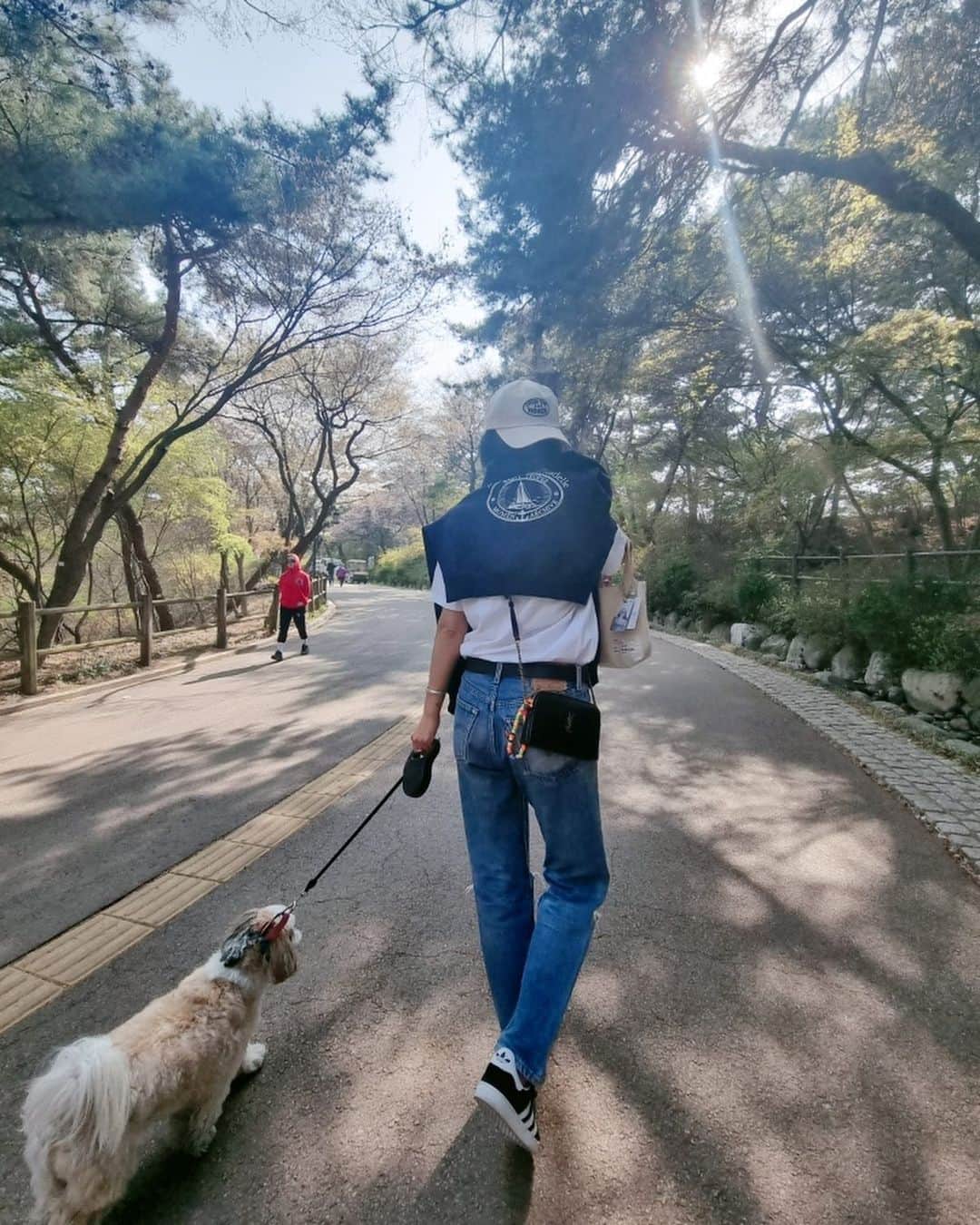 チェ・ジョンアンさんのインスタグラム写真 - (チェ・ジョンアンInstagram)「비온뒤갬🤗🌞  싱그러운봄💚  나랑 같이 걸을래?🐶」4月7日 14時09分 - chae_jungan