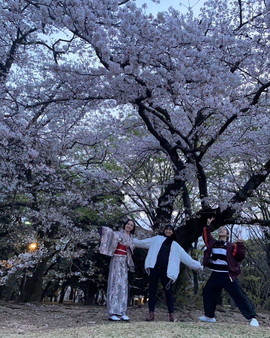 大湖せしるさんのインスタグラム写真 - (大湖せしるInstagram)「⁡ ⁡ ⁡ #sakura #kimono #myfriends ⁡ ⁡」4月7日 14時18分 - cecile_daigo