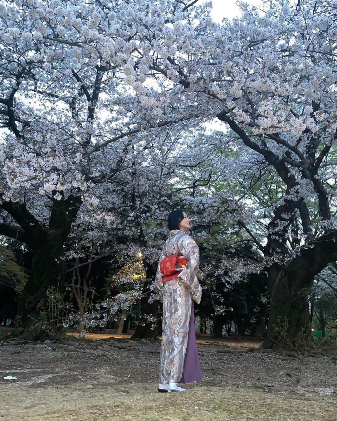 大湖せしるさんのインスタグラム写真 - (大湖せしるInstagram)「⁡ ⁡ ⁡ #sakura #kimono #myfriends ⁡ ⁡」4月7日 14時18分 - cecile_daigo