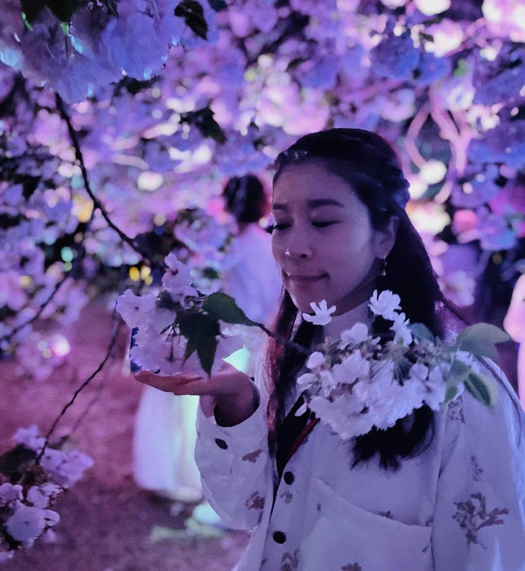 村元哉中さんのインスタグラム写真 - (村元哉中Instagram)「Just me in a Dreamland 🌸🌸🌸 #新宿御苑 #sakuranightgarden  #夜桜 #cherryblossom」4月7日 14時38分 - k.a.n.a.m.u.r.a