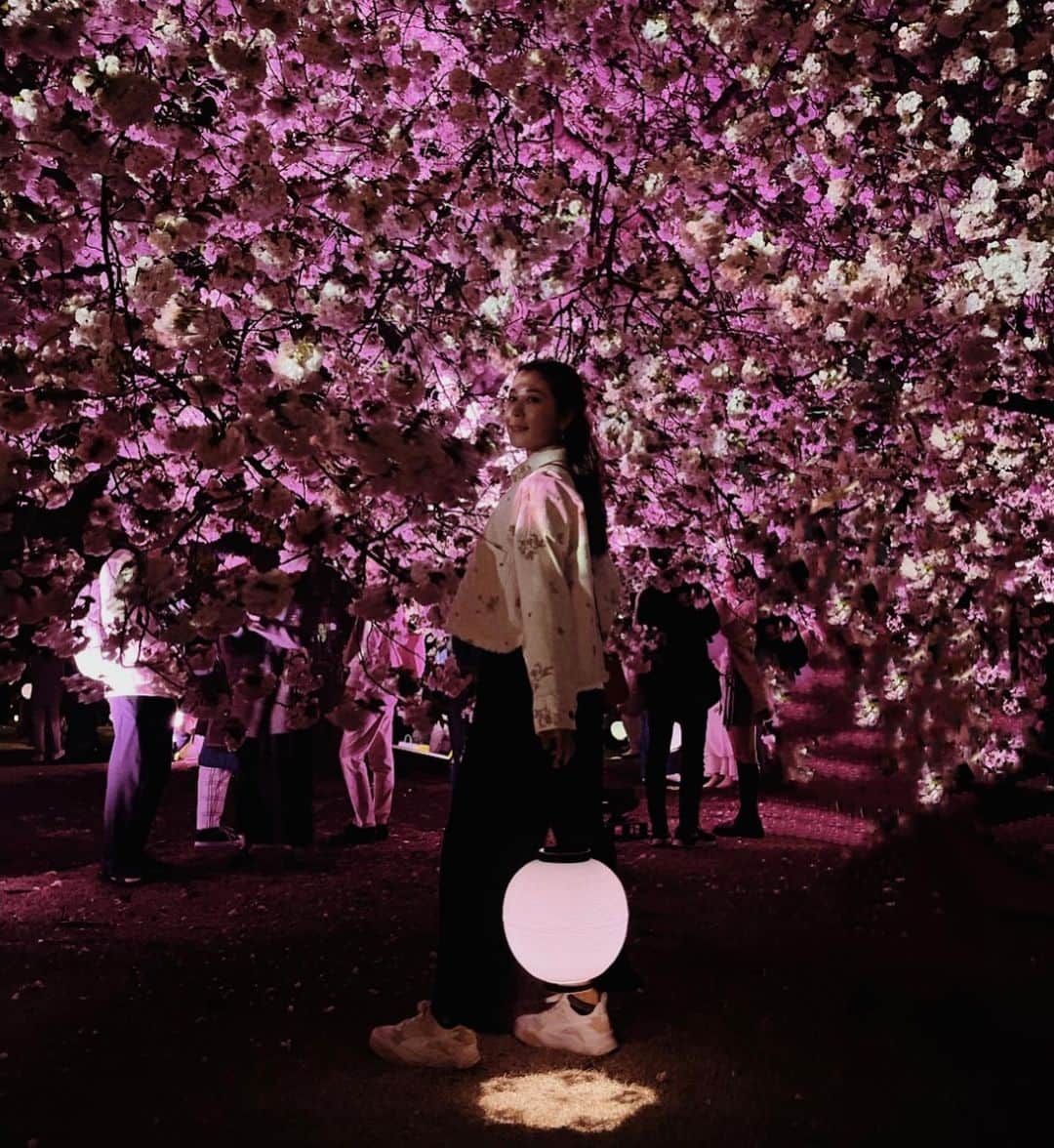 村元哉中さんのインスタグラム写真 - (村元哉中Instagram)「Just me in a Dreamland 🌸🌸🌸 #新宿御苑 #sakuranightgarden  #夜桜 #cherryblossom」4月7日 14時38分 - k.a.n.a.m.u.r.a