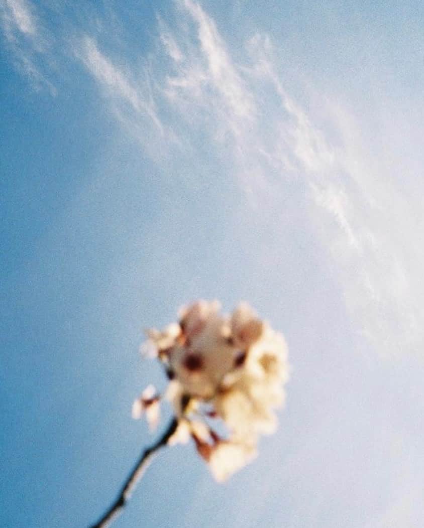高橋龍之介のインスタグラム：「April 2023.🌸🎞」