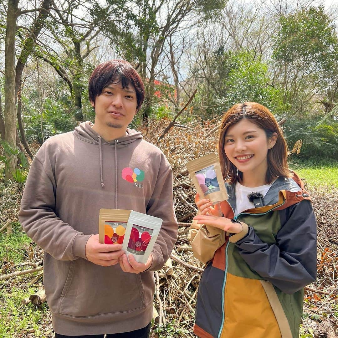 池田真子さんのインスタグラム写真 - (池田真子Instagram)「ほっと一息つきたい時にお気に入りのお茶🌱 ． お湯を注ぐとカモミールや ラベンダーの香りが広がってもう本当に癒される🌿 ． やさしい味で、ほんのり甘い後味がまた美味しい♡ ． ． 茶師の山北さん( @yuji.yamakita )が 手掛けられるMoiのお茶で、 日本茶にハーブがブランドされています◎ ． ． ▽Hokuzan 京番茶×安らぎブレンド  ． お茶と言えば和菓子のイメージだけど、 Moiは洋菓子にも合うよ🌼 ． ． ． リラックスしたい時にぜひ飲んでほしい！！ ． ． ． ． ． 山北さん、ありがとうございました✨ ． ． ． ． ． 続きは動画をご覧ください🍵 YouTube：森開拓プロジェクト🔍 ． ． #日本茶 #お茶のある暮らし  #リラックス効果 #ラベンダーの香り #カモミールの香り #京番茶 #お茶好き #ハーブティー好き #癒し時間 #森開拓プロジェクト #youtubechannel」4月7日 19時05分 - mako_ikeda