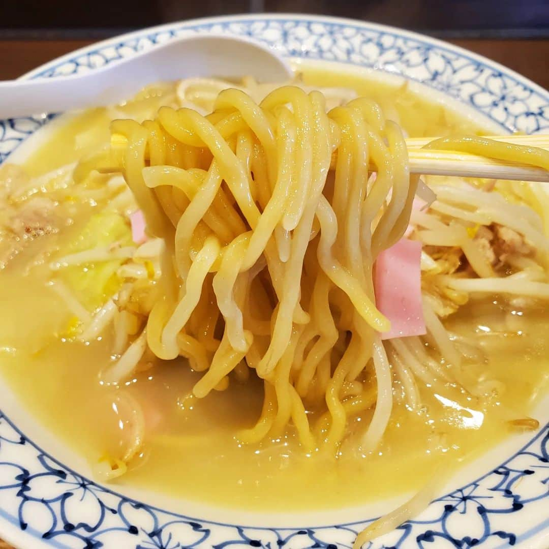 田畑竜介さんのインスタグラム写真 - (田畑竜介Instagram)「今日は朝から釣りのロケ🎣  雨上がりで気温が低く 冷たい北風も吹き、 肌寒いコンディションでした😅  釣りを終えて、 冷えた体を温めようと 攝津さんが薦めてくれた ちゃんぽんの『かいの』へ🍜  スープは濃厚な鶏白湯 口に含むとトロッとした舌触りで、 鶏の旨みが広がり、コクが深く 余韻がありながらも後口はさっぱり  ちゃんぽんというと、 豚肉や野菜、魚介の旨みがスープに 溶け込んでいるのが一般的ですが、 ここは一線を画す感じ 鶏白湯を堪能してほしいということか、 鶏の旨みがダイレクトに伝わるスープ  肉や野菜は別で炒めてるのかな 一緒に煮込まないから、 麺も生麺を使っているのかな ムチムチした食感の麺も相性が良かった あくまで個人の感想です  #糸島市 #糸島グルメ  #ちゃんぽん #かいの」4月7日 14時59分 - tabacchi_rkb