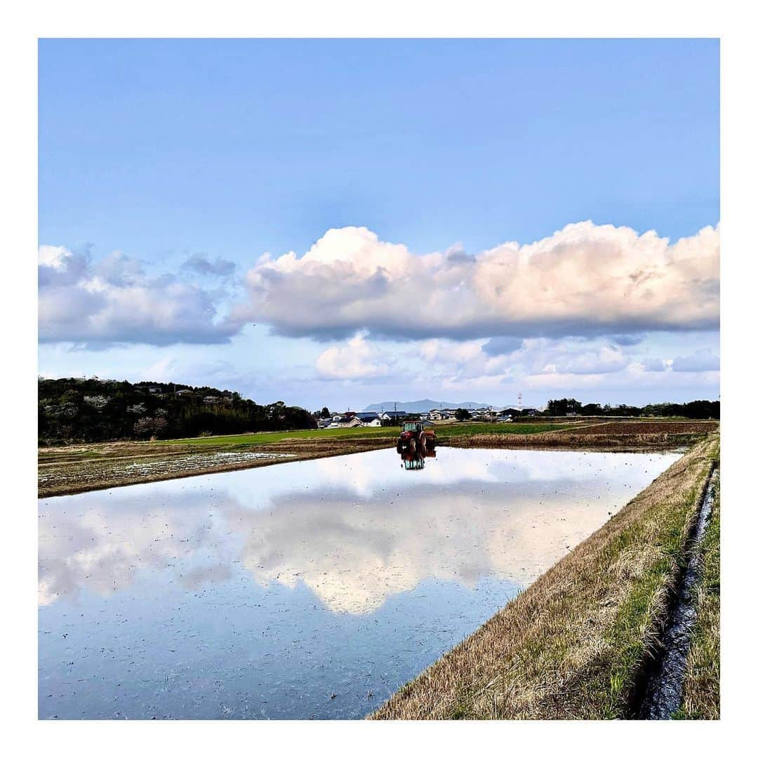 羽舞咲さんのインスタグラム写真 - (羽舞咲Instagram)「🎗Rice field ⁡ お米づくり（早期米）が始まりました🌾 ⁡ 旦那さんがしているのは 「代掻き」（しろかき） ⁡ 田んぼに水を張り 機械に乗って何度も往復しながら 土を細かく砕いて 丁寧にかき混ぜています ⁡ 雑草の根を取り除いたり 田んぼの水漏れを防いだり 稲をしっかり育てるために重要な作業 ⁡ 音楽やわたしのラジオ「羽舞咲のゆるゆるビューティ研究所」を 聴きながらやってるそうです♪ ⁡ 愛犬ハニーのお散歩をしながら 旦那さんに会いに行くと ⁡ 鏡のように水面に空が写っている なんとも美しい景色に出会うことができました (´ . .̫ . `) ⁡ ⁡ #田植え #代掻き #五島の自然 #五島列島 #五島の景色 #犬との暮らし #自分らしく生きる #旅好き #自然暮らし #自由な暮らし #地方移住 #自然好き #ウェルネスライフ #しあわせ時間 #自然好き #サステナブルライフ #夫婦時間 #パートナーシップ  #五島の大谷翔平」4月7日 15時17分 - herbemi