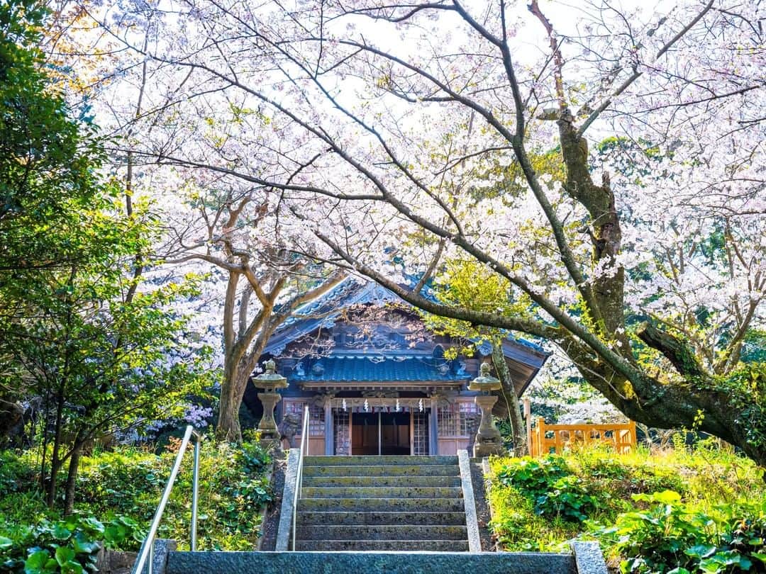 Birthplace of TONKOTSU Ramen "Birthplace of Tonkotsu ramen" Fukuoka, JAPANのインスタグラム：「Chinkaiseki Hachimangu Shrine and Its Superb Sunset View - Touch a Stone and Get Rid of Negative Energy!⛩️✨ Around 1,800 years ago, the empress at the time put stones against her belly to soothe the anxiety she felt about her pregnancy and, after her safe delivery, she put the stones on the top of a hill. This shrine in Itoshima City was built in order to worship these stones.  In the shrine's precincts, there is a sacred stone which is said to get rid of misfortune when touched. All you have to do is rub it when praying.🙏 You can also acquire colorful protection amulets and "komi-ishi," prayer stones for those who wish for fertility and safe childbirth, at the shrine office.😊  We recommend visiting Chinkaiseki Hachimangu Shrine at dusk.🌅 The beautiful setting sun also appears in the designs of the shrine's amulets. You are lucky if you see purple clouds, which are said to be a sign of good things to come!☁💜  ------------------------- FOLLOW @goodvibes_fukuoka for more ! -------------------------  #fukuoka #fukuokajapan #shrine #japaneseshrine #kyushu #kyushutrip #japan #explorejapan #instajapan #visitjapan #japantrip #japantravel #japangram #japanexperience #beautifuljapan #travelgram #tripstagram #travelgraphy #travelphoto #travelpic #tripgram #japanlovers #visitjapanjp #japannature」