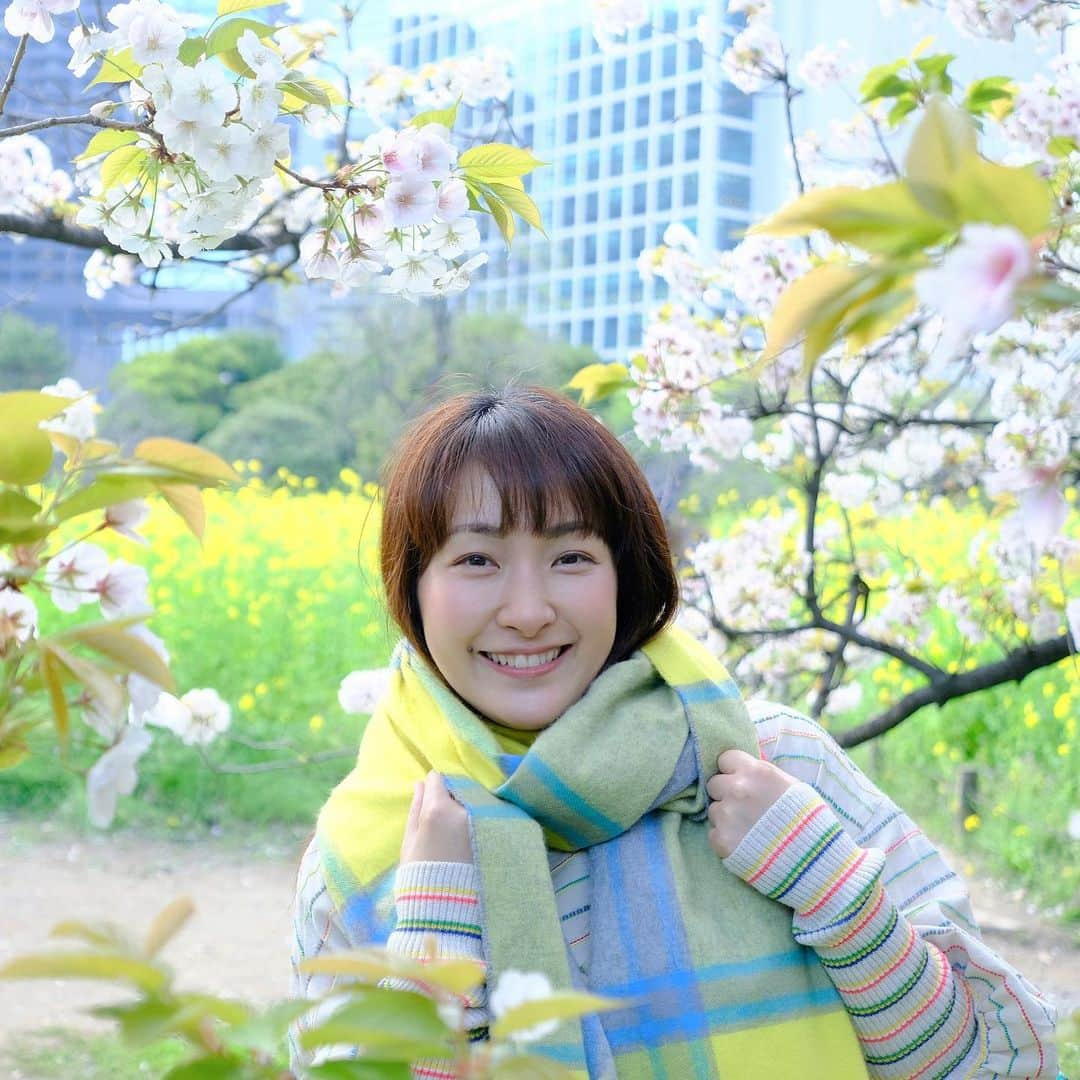 植田佳奈さんのインスタグラム写真 - (植田佳奈Instagram)「#お花見 #菜の花 #桜」4月7日 15時37分 - ueda__kana