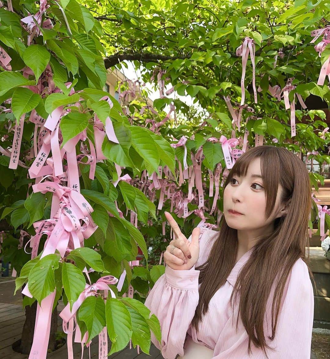 成瀬心美さんのインスタグラム写真 - (成瀬心美Instagram)「🌸  この間桜神宮に 行ってきたよ🙌  ずっと行ってみたかった場所🥰  桜はもうほとんど 散ってしまってたけれど ピンクのリボンが可愛かったなぁ。  沢山のお願い事が書かれたリボンは 風に揺れてて素敵だった。  おみくじ引いたり 御朱印もいただいた☺️  来年は桜が咲く頃に また来れたらいいな✨  優しく暖かい風の吹く 素敵な神社でした⛩  #桜神宮 #神社 #御朱印 #桜 #🌸」4月7日 15時50分 - coco3ndazo