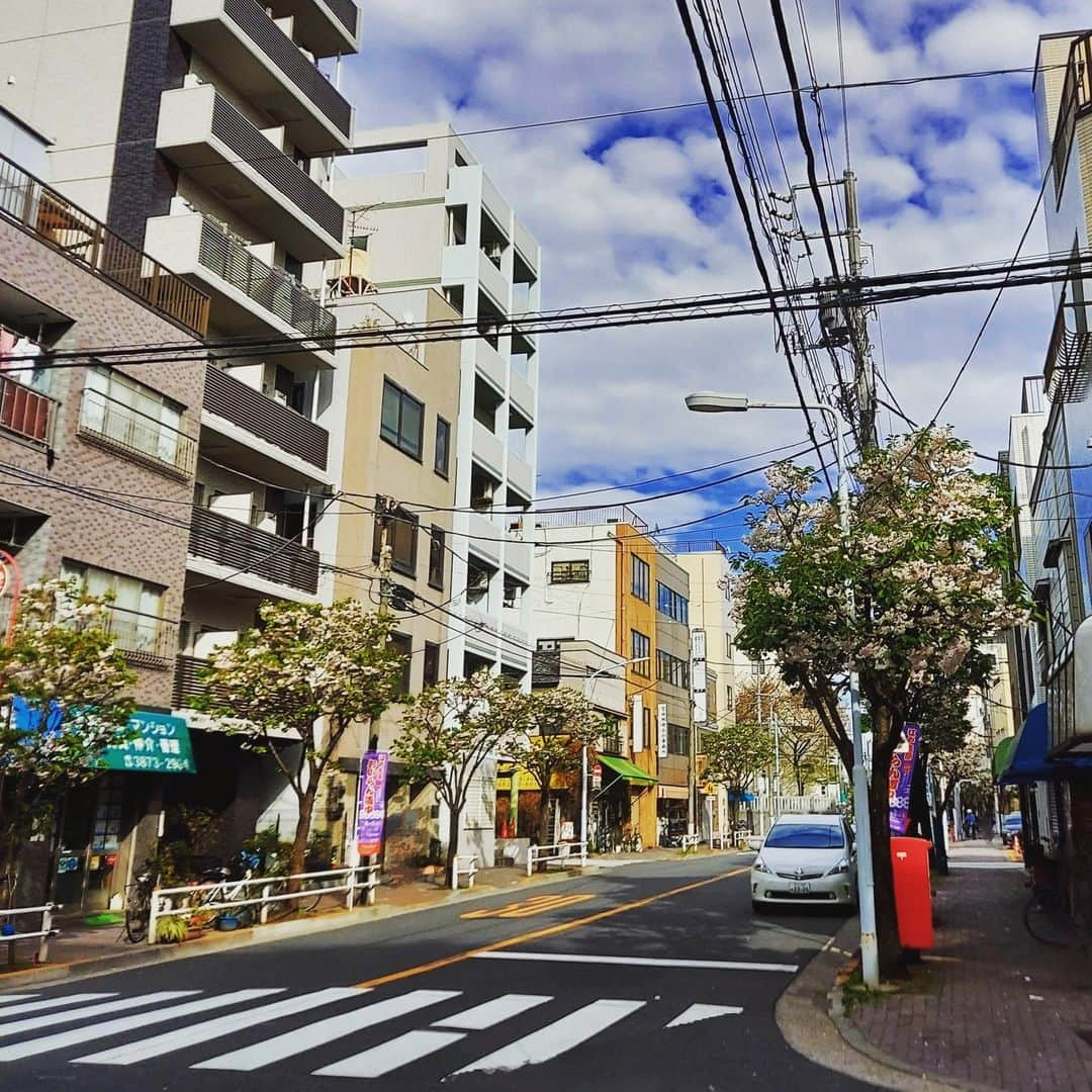 下関マグロのインスタグラム：「一葉桜・小松橋通りの桜。空とのコントラスがなんともいえず。。。。 #桜並木  #桜並木道  #一葉桜」