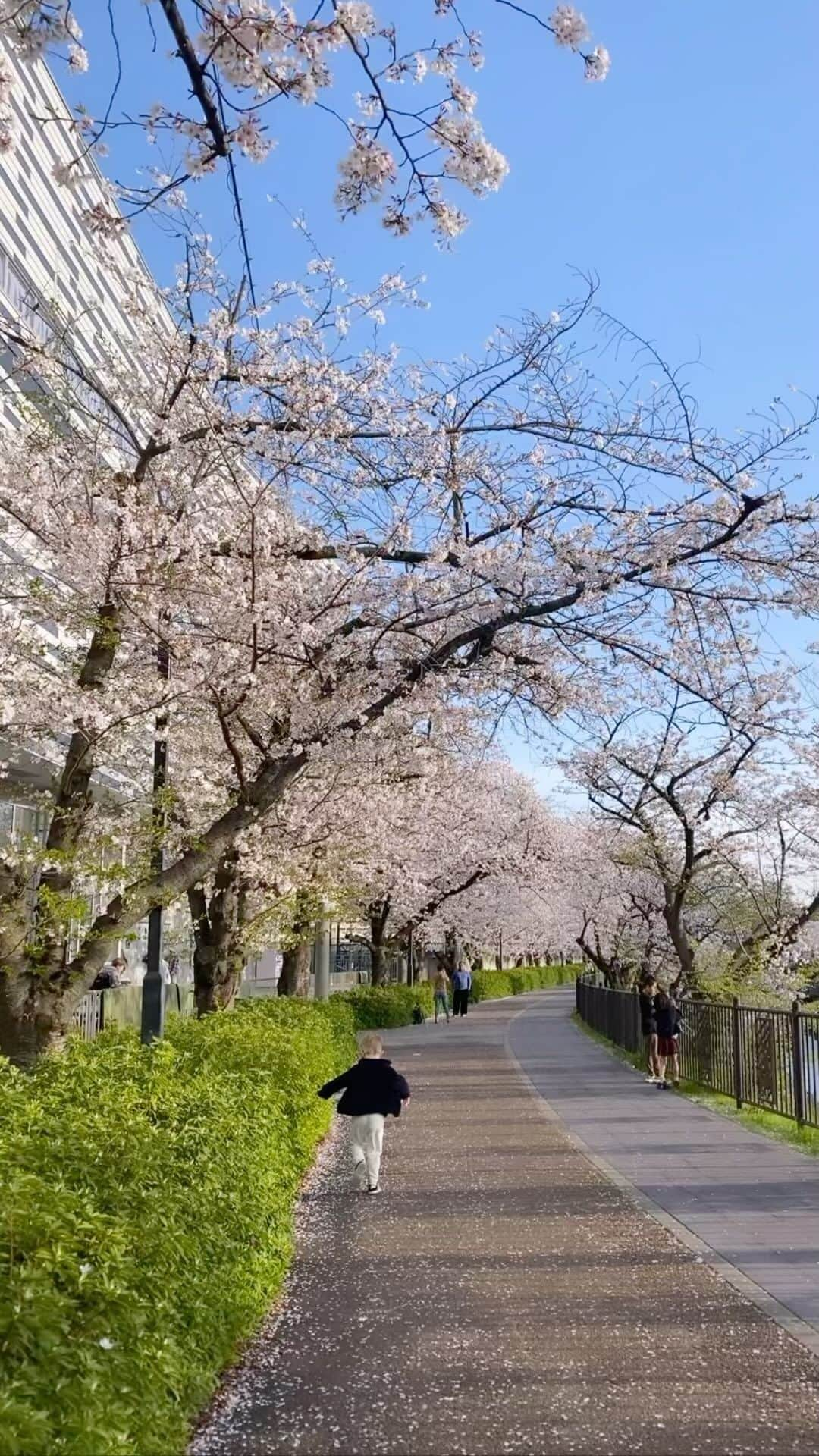 リアノン・ランゲラック（ミッチェル・ランゲラックの妻）のインスタグラム：「Playing at our local park in spring 💖💖💖 #lucky」