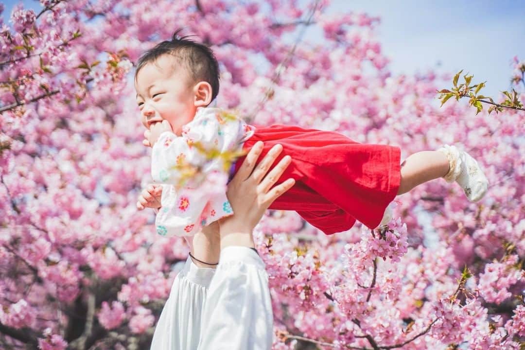 花王 メリーズ Merriesさんのインスタグラム写真 - (花王 メリーズ MerriesInstagram)「満開の桜にごきげんな赤ちゃん🌸 . 赤い袴が桜のピンクとマッチして素敵なコーデですね🥰 皆さんは赤ちゃんとのお花見を楽しまれましたか？🍱🎵 . 暖かい日が続くので、 赤ちゃんにカラフルな風景をたくさん見せてあげたいですよね✨😊 . こちらのお写真は @sorairo0808 さまの素敵なお写真です。 @sorairo0808 さまのアカウントはとっても素敵なお写真ばかりですので、みなさんもぜひご覧になってみてくださいね😍 . . ￣￣￣￣￣￣￣￣￣￣￣￣￣￣￣￣￣￣￣￣￣￣￣￣￣ 花王の赤ちゃん用品ブランド「メリーズ」公式アカウントです👶 . 「#メリーズ」「#メリーズファーストプレミアム」で投稿いただいた中から素敵なお写真をご紹介していますので、ぜひ投稿してみてくださいね✨ . 新発売！パワフル通気でムレ発散。メリーズで「#ずっと肌さら」🎵 ￣￣￣￣￣￣￣￣￣￣￣￣￣￣￣￣￣￣￣￣￣￣￣￣￣ . . #メリーズファーストプレミアム #赤ちゃん #ベビー #成長記録 #子育て #子育てグラム #赤ちゃんのいる生活 #新米ママ #プレママ #ママカメラ #親バカ部 #ハイハイ #赤ちゃんのいる暮らし #赤ちゃん写真 #赤ちゃん動画 #ベビスタグラム #0歳 #1歳 #2歳 #育児 #育児あるある #ベビーフォト #ベビーグッズ #オムツ #オムツ姿 #育児グッズ #👶」4月7日 16時00分 - merries_official_jp