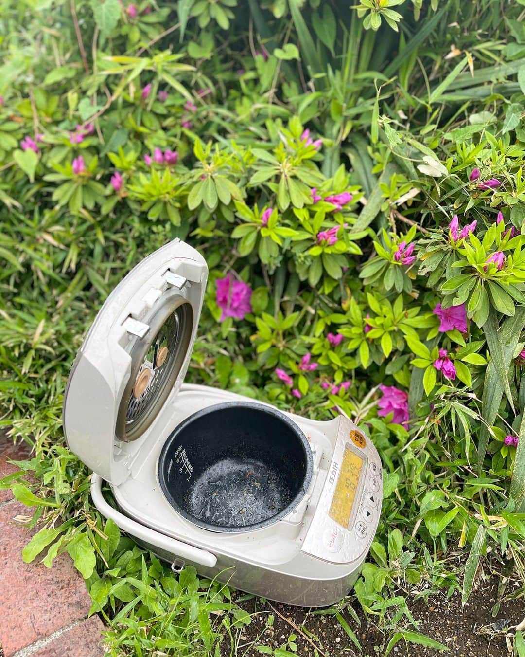 のインスタグラム：「本日の風景。  洗わないんかい！っ（そもそも捨て方あってるのか？！）と思ったけど、よく考えたら水を少しでも大切にしたかったのかとも後々思った。  それになんか芸術的にも見えた😂  #捨て方は地域の方法に従いましょう #妄想膨らむ #視野は広く #思いのほか雨水溜まってない #雨の日も最高」