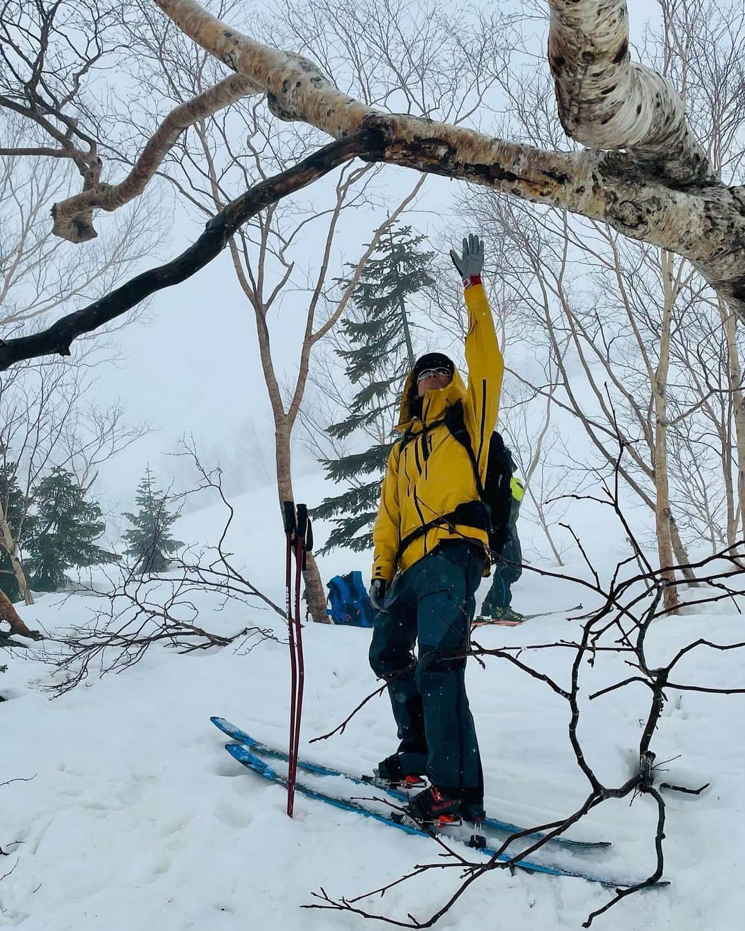 渡部暁斗さんのインスタグラム写真 - (渡部暁斗Instagram)「何千万ｔのCo2排出量と聞いても何だか他人事のように思えてしまいますが、毎年同じ時期に同じ場所でスキーをしていると実感することもあります。6年前に腰掛けられた木に、今年は手が届きませんでした。もちろんその年によって降雪量は違いますが、「雪少ないな」「雪解けが早いな」と思うことは確実に増えています。  自分も滑り続けたいし、自分がこの世を去った後も沢山の人に滑り続けて欲しいと願っています🏔  #livetoski #BeWhoYouAre #hakubavalley #allbirds  #carbonneutral  #carbonoffset」4月7日 16時13分 - wtbakt