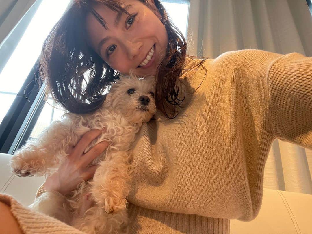 原アンナさんのインスタグラム写真 - (原アンナInstagram)「愛しの愛しのルーズさん🐶✨✨  #愛犬専科 のサプリメントをあげるようになって9ヶ月くらいが経ちました💡💡  今はすごく元気なんだけど、12歳ということで、色々心配してるんだけど、 特に心配している「カルシムウ」の値が少し上がっていて嬉しいです😭😭🙏  脱臼した経験もあるので、これからも続けたい💪💪  合わせてたくさんお散歩も行って、これからも健康で長生きしてね♡ 愛してるよ♡」4月7日 16時20分 - annahara821
