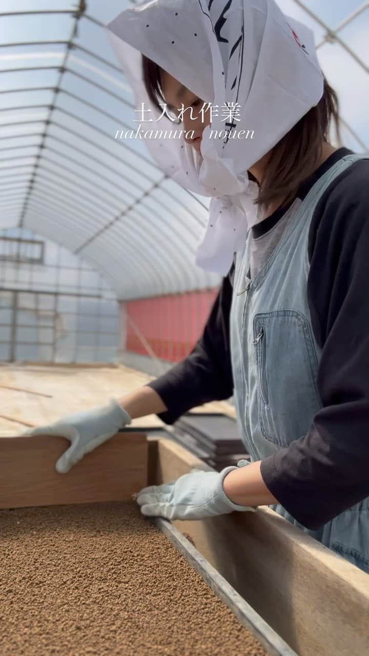 田中幸のインスタグラム：「✳︎米作り . . . 4/4-6土入れ作業👩‍🌾 　  春一番の私の農作業は 苗を育てる為の【土入れ作業】  地味だけどコツコツ楽しい🌸 私の一番弟子👧は気分屋だから いたりいなかったり 歌ったり踊ったり ぐずったりを繰り返しながら💃  私の集中力はブレません😤  庭作りも同時進行だったけど 最短で作業終わった😊💚  次は、種蒔き作業です👩‍🌾 . . . @nakamuranouen.koshihikari  #中村農園 #長野県産コシヒカリ #オンラインストアで販売中 プロフィール @sachitanaka リンクから👩‍🌾」