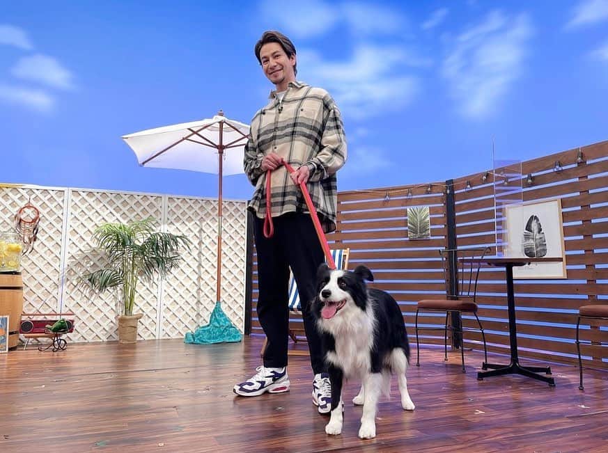 のインスタグラム：「スロイジ出演してきました！ テスと写真撮ったよ〜♪♪ 子供の頃犬に噛まれてから犬は怖いんだけど、テスは何回も会ってるから怖さゼロ😁 そっとスタジオから連れ出して東京に連れて帰るね。  #テス失踪事件 #犬泥棒from群馬」