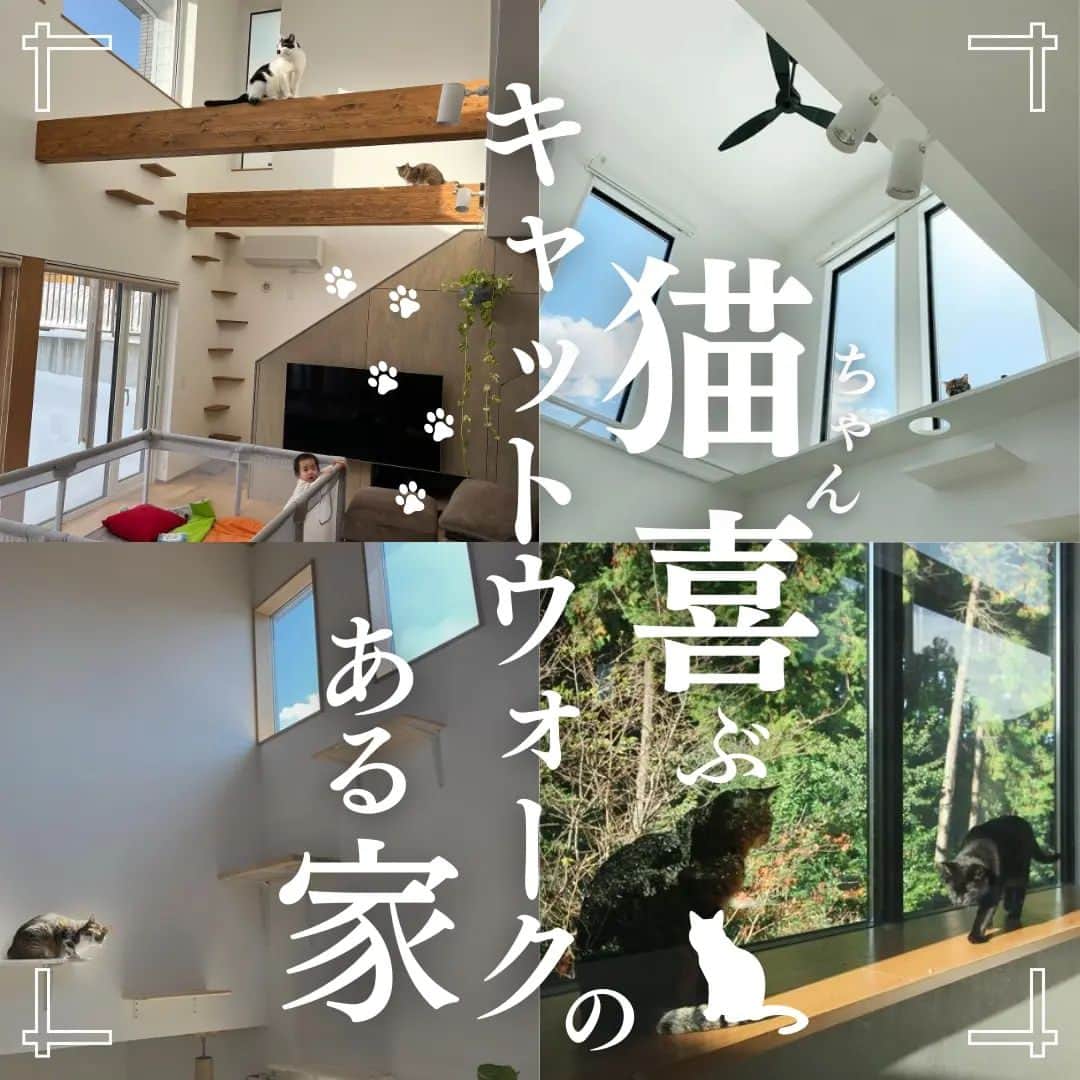 井上建設株式会社（下関）のインスタグラム：「展示場見学のご予約はこちら👉@inouek1018  山口県下関で注文住宅を建てる井上建設です👩  今回は猫ちゃん喜ぶキャットウォーク のある家をご紹介します✨  お家づくりの参考にぜひしてみてください🏘️  ---------------------------  素敵なお写真をご提供くださった皆様をご紹介します✨ ※以下の皆様は弊社事例ではございません。  2枚目 @chobihigeneko  3枚目 @lunarenmoco_nyanko  4枚目 @neko.obasan  5枚目 @chibi_shiro_tan_neco  6枚目 @egoji_sumirin  皆様ありがとうございました✨  ---------------------------  下関で注文住宅を建てる井上建設では  家づくりについて 知っておきたい情報を発信しています👩  少しでも興味があれば、 ぜひフォローお願いします✨  ---------------------------  #注文住宅 #マイホーム #家づくり #新築 #失敗しない家づくり #後悔しない家づくり #家づくりアイデア #マイホーム計画 #マイホーム計画中の人と繋がりたい #デザイン住宅 #間取り図 #間取り #山口 #下関 #inouek #井上建設 #井上建設下関  #家をたてよう   #キャットウォーク #キャットステップ  #ネコと暮らす #ねこのいる生活」