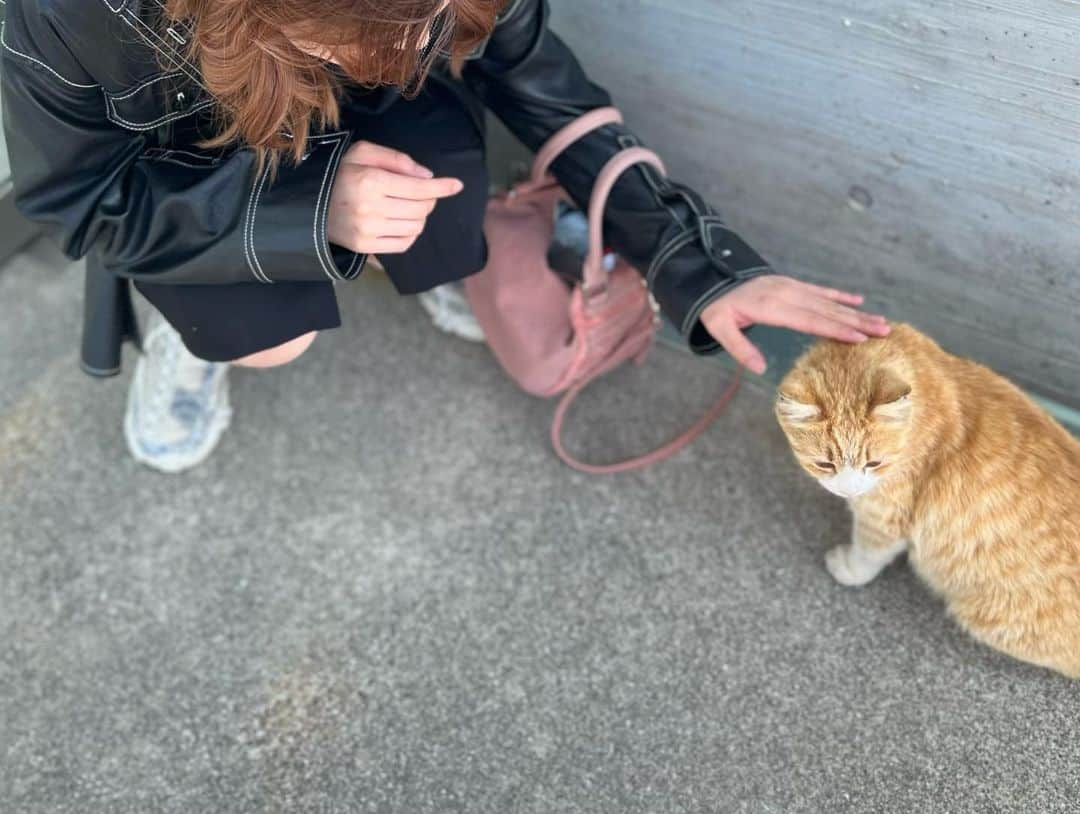 一羽萌瑠さんのインスタグラム写真 - (一羽萌瑠Instagram)「🌸🌷🌷🌸🌷🌷🌸🌷🌷🌸  香川旅行記その②  これは女木島ってところと、男木島って所をフェリーで巡って来た時の写真！  女木島は鬼が住んでたっていう伝説..?があって 洞窟に入ったの！！  めちゃ寒くて怖かった🫥  島中桜が咲いてて綺麗だった〜🌸  男木島はフェリーの時間の都合上10分くらいの滞在になっちゃったんだけど....  人より猫の方が多いって言われてるんだって🐈  1匹しか会えなかったけど可愛かったぁ〜😊  #香川 #香川県 #女木島 #男木島 #鬼ヶ島 #猫 #猫島 #桜 #フェリー #女子大生 #女子旅 #女子大生コーデ #大学生コーデ #大学生 #大阪芸術大学 #宝塚og #宝塚歌劇団 #japan #love #instagood #fashion #photooftheday」4月7日 16時45分 - meru1hane