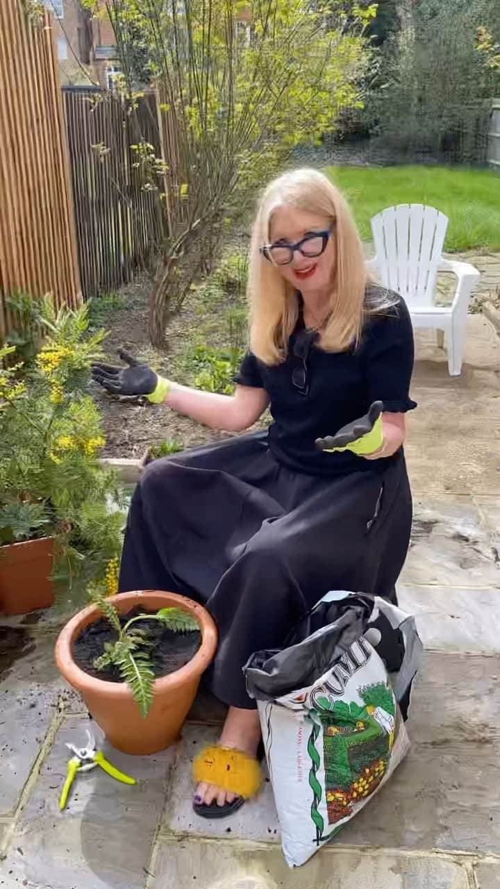 ValGarlandのインスタグラム：「She’s Gone Potty 🪴🪴🪴🪴」