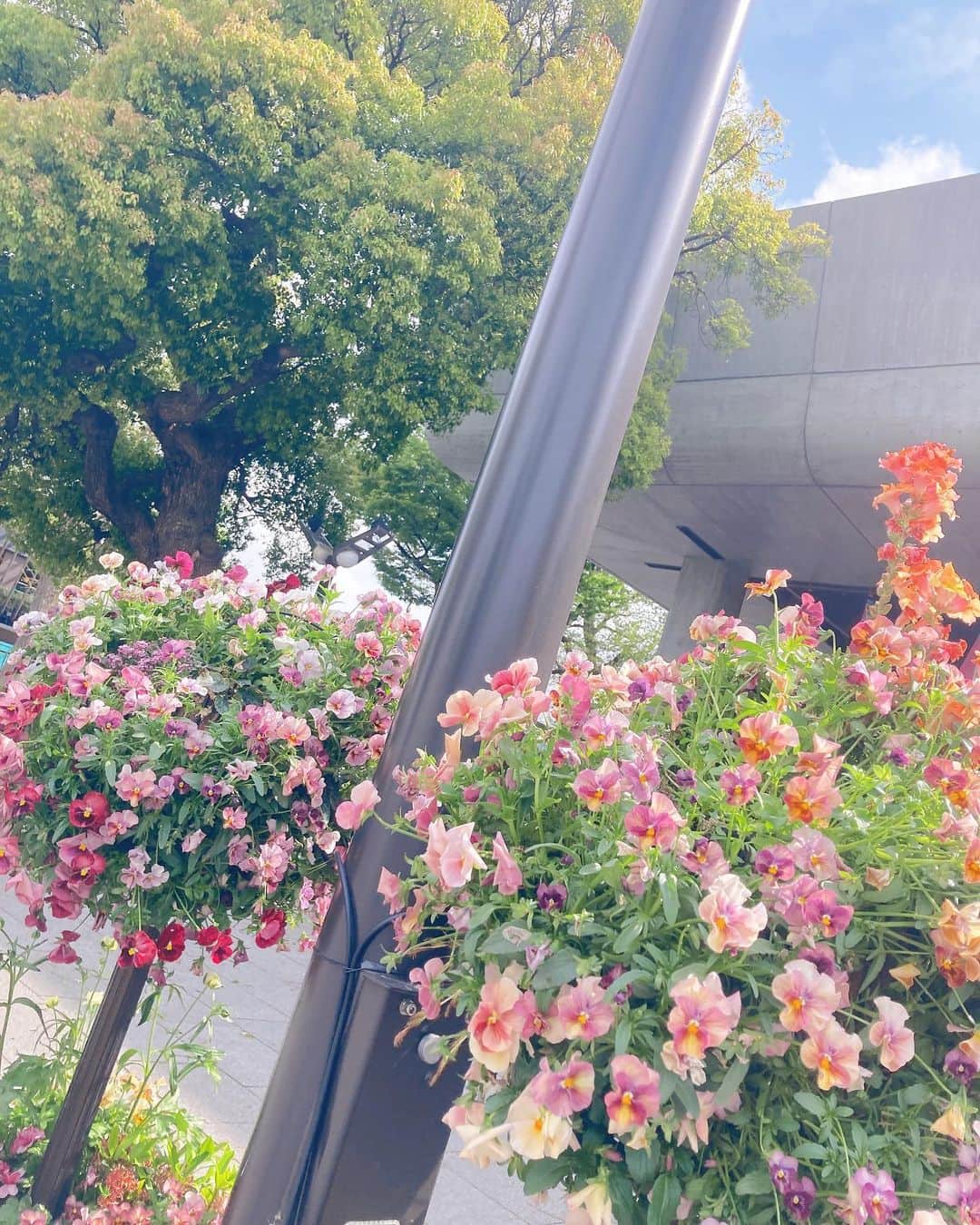 のインスタグラム：「🌷🌞🎨❤️‍🔥」
