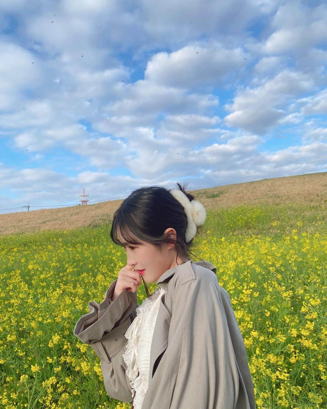 佐藤妃星のインスタグラム：「🌼🌼🌼  春だねぇ☁️🩵  #akb48 #佐藤妃星 #00 #菜の花 #河川敷 #🌼」