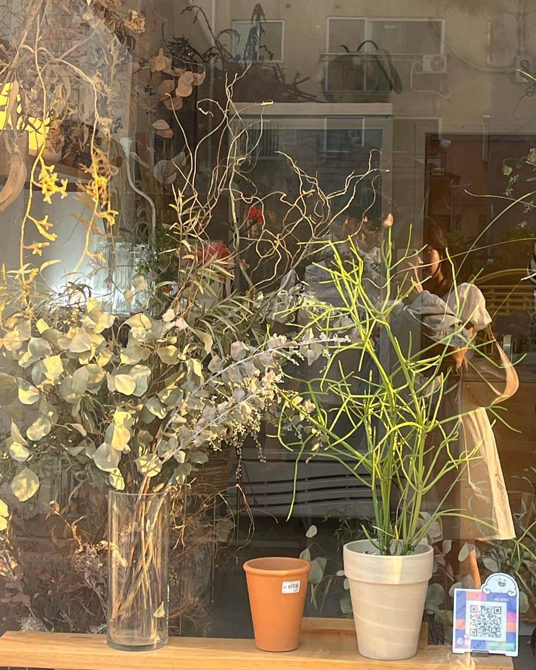 ミナ さんのインスタグラム写真 - (ミナ Instagram)「빛✨」4月7日 17時24分 - blossomh_