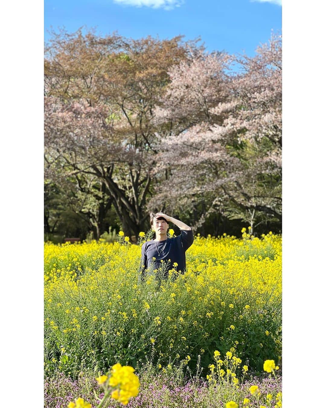 坂口涼太郎さんのインスタグラム写真 - (坂口涼太郎Instagram)「🌸🌼🌳🌏」4月7日 17時32分 - ryotarosakaguchi