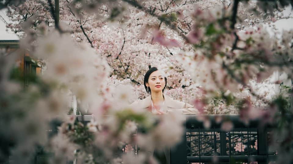 高畠麻奈さんのインスタグラム写真 - (高畠麻奈Instagram)「春の終わりを捕まえに🌸 翌日、驚く程葉の割合が増えていました。儚い🍃 お散歩しながらの撮影、楽しかったです。 素敵な写真ありがとうございます☺︎  photo/井上賢嗣 @kenji____inoue   #春#桜#ポートレイト #cinematic#portrait#kenji_film #cherryblossom#spring #shorthair#shortcut#actress」4月7日 17時35分 - mana_724