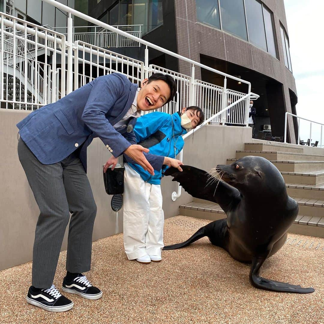 TBS「Nスタ」さんのインスタグラム写真 - (TBS「Nスタ」Instagram)「きょうの #すたすた中継 は 高柳アナがアクアワールド・大洗からお伝えしました🐟  すたすた歩くアシカに高柳アナもびっくり！🦭 ゴエモンくん、飼育員さんと一緒に記念撮影✨  今週もご覧いただき、ありがとうございました🧡  #TBSテレビ #TBS #Nスタ #井上貴博 #ホラン千秋  #日比麻音子 #高柳光希 #アクアワールド大洗　#アシカ　#水族館」4月7日 17時48分 - nst_tbs