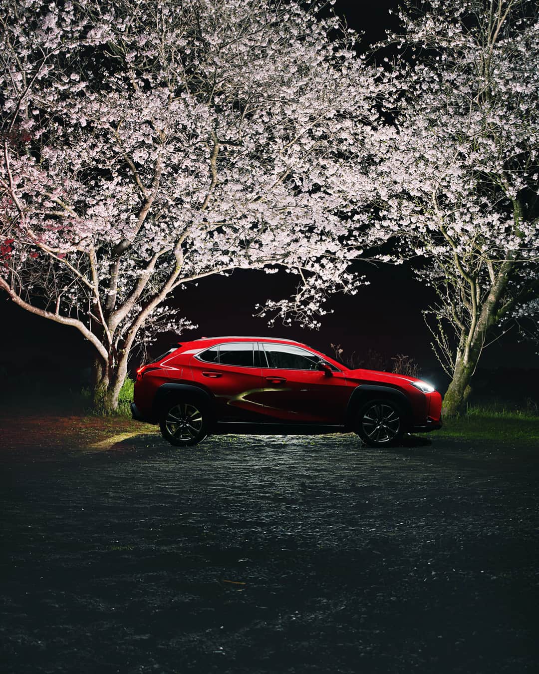 LEXUS / レクサスのインスタグラム：「Lexus Sakura week day5  花冷えの夜に浮かぶ、艶やかな美を。  #Lexus #LexusUX300e #UX300e #lexusgram #lexuslife #lexusjpphotography  #SUV #BEV #carsofinstagram #carlifestyle #carphotography  #LexusGallery #drive #redcar #luxury #lexusnation #dailylexus #carlovers #carlove #carscene #caraddict #carculture #automobiles #fastcar #carnews #carcollection #nicecar #instacars #automotivephotographer」