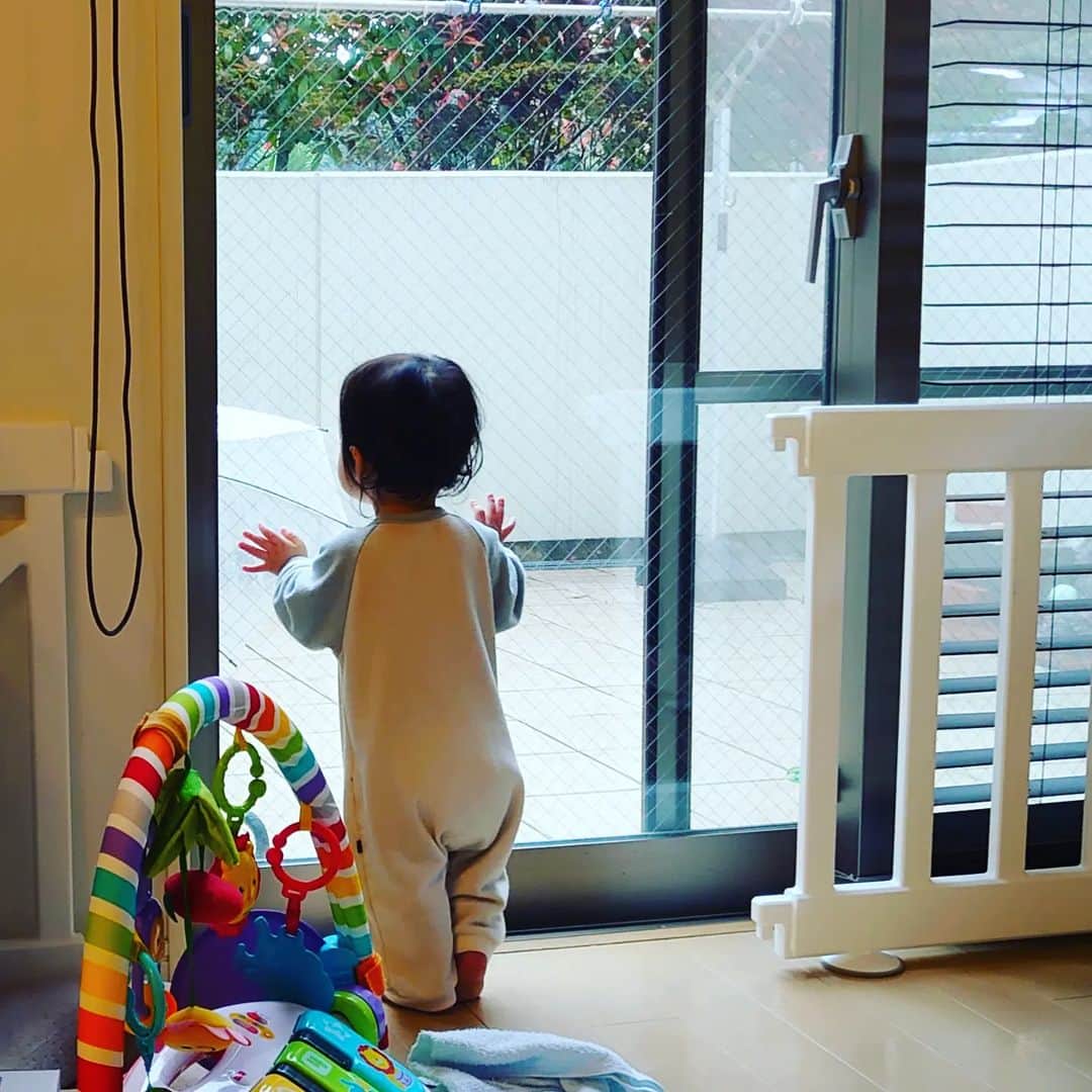 門倉貴史さんのインスタグラム写真 - (門倉貴史Instagram)「雨☔でお庭に出れないとめっちゃテンションが下がる娘（笑）  #赤ちゃんのいる生活  #雨の日」4月7日 18時25分 - takashikadokura