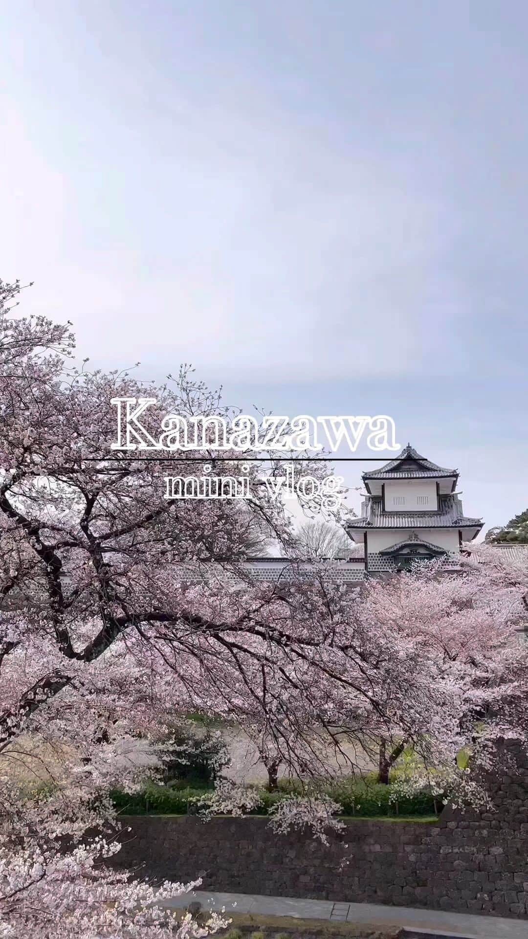 雨宮凜々子のインスタグラム：「♡金沢mini vlog♡ ちょうど桜も沢山咲いてて、東京より前に金沢で満喫した🌸 . . . #金沢カフェ #金沢 #金沢グルメ #金沢旅行 #金沢ランチ #21世紀美術館 #国内旅行 #旅行 #ひがし茶屋街 #ひがし茶屋街カフェ #兼六園 #金沢城  #vlog #リール動画 #リール #女子大生 #女子大生コーデ #女子大生の日常 #japan #kanazawa #vlog #リール動画 #travel」