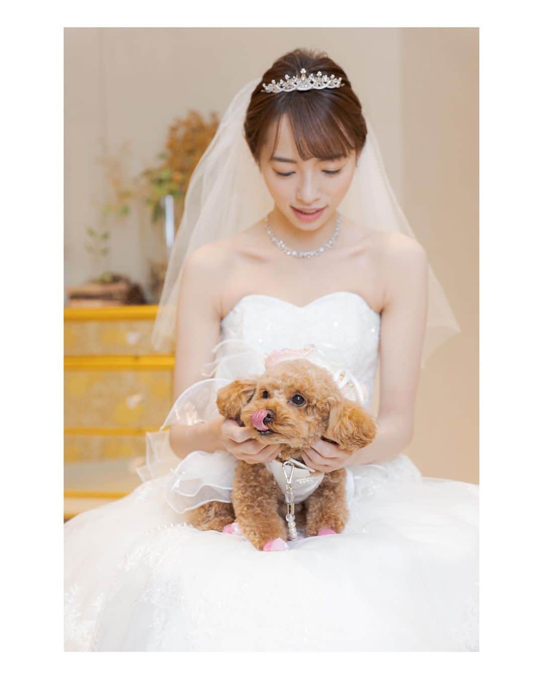 阿部芳美さんのインスタグラム写真 - (阿部芳美Instagram)「少し前になりますが… 初めての結婚記念日でした☝️🎂  結婚して1年。 いや〜、あっという間ですね😳💍 愛知と香川で離れての生活は 大変なことも勿論ありますが！笑 それでも我々らしく楽しく過ごしています🤣✨ 周りの皆様に感謝です😌  そして！ この1年の間に、結婚式を挙げることもできました🤭 アナウンス部の先輩方にも多く来て頂き、 夢であったリングドッグもすることができ…🐕💓 一生忘れない幸せな時間でした。  これからも、家庭とお互いの仕事を大切に⚽️🎤 元気いっぱい頑張りますのでよろしくお願いします☺️  #新婚なんで が使えなくなる！？ #結婚記念日 #1st #3月27日  #結婚式 #リングドッグ」4月7日 18時35分 - yoshimi_abe0410