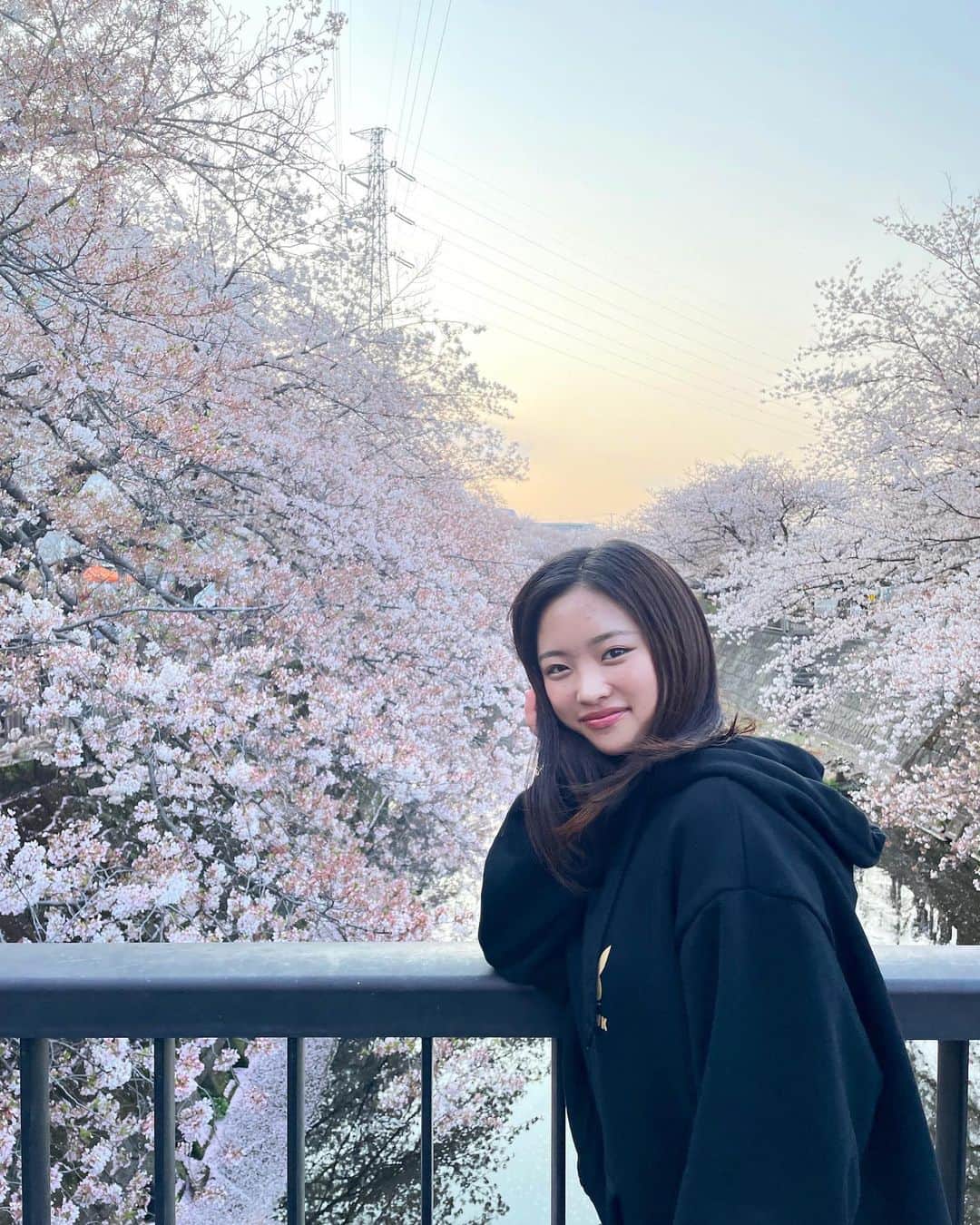 石井美音奈のインスタグラム：「一瞬だったぁー！ 近所にはこんなにも満開な桜道があったなんて🌸 この日はたくさん歩いたよ！  #桜スポット  #桜 #cherryblossom  #春  #spring」