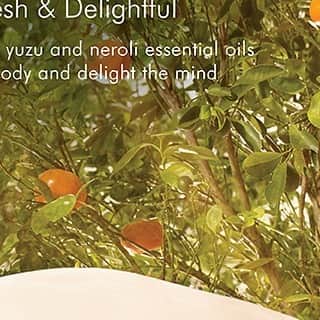 THANNさんのインスタグラム写真 - (THANNInstagram)「. . 東洋の果樹園へといざなう、ユズ・ネロリの深いブレンド。 心をときほぐし、大きな歓びを感じさせてくれる フレッシュビターな香り。  ‌ ネロリの精油はオレンジの白い花から取れ、 濃厚なフローラルな香りと 柑橘系のビターな香りを持ち合わせています。  「天然の精神安定剤」といわれるほど、 特にリラックスを与える効果があり、 憂鬱な気分や疲労感を感じるときにも 心を落ち着かせ、安心感をもらしてくれます。  #thann#タイ#アロマオイル#エッセンシャルオイル#イースタンオーチャード#ユズ#ネロリ」4月7日 19時08分 - thannjapan