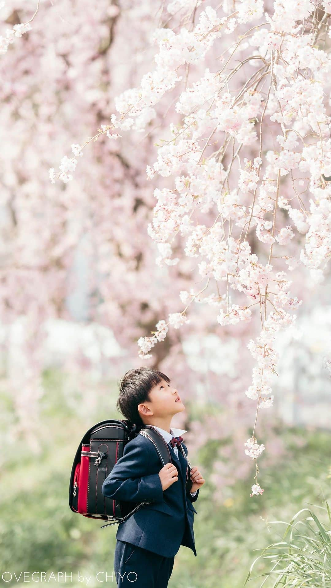 Lovegraph_Kids ラブグラフキッズのインスタグラム：「新一年生の皆さん👦🏻👧🏻🎒 入学おめでとうございます！🌸 ㅤㅤㅤ 今年は特に入学記念の撮影依頼が多く 全国でたくさん撮らせていただいています☺️ ㅤㅤㅤ すでに桜が散っている場所もあるし 入学式を終えられた方もいらっしゃるようですが この先の撮影ご予約も大歓迎🔅 ㅤㅤㅤ ピカピカのランドセルと 今しか撮れない家族写真を残しませんか？🌼 ㅤㅤㅤ 撮影に関するご相談はお気軽にサイトより お問い合わせください☺️✉️ ㅤㅤㅤ #ラブグラフ #Lovegraph #幸せな瞬間をもっと世界に #入学フォト #入学記念 #ピカピカの一年生  ㅤㅤㅤ」