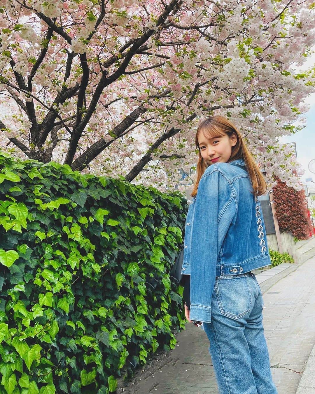 大段舞依のインスタグラム：「⁡ ⁡ ⁡ 🌸🌸🌸 ⁡ ⁡ #桜 #🌸 #春 ⁡」