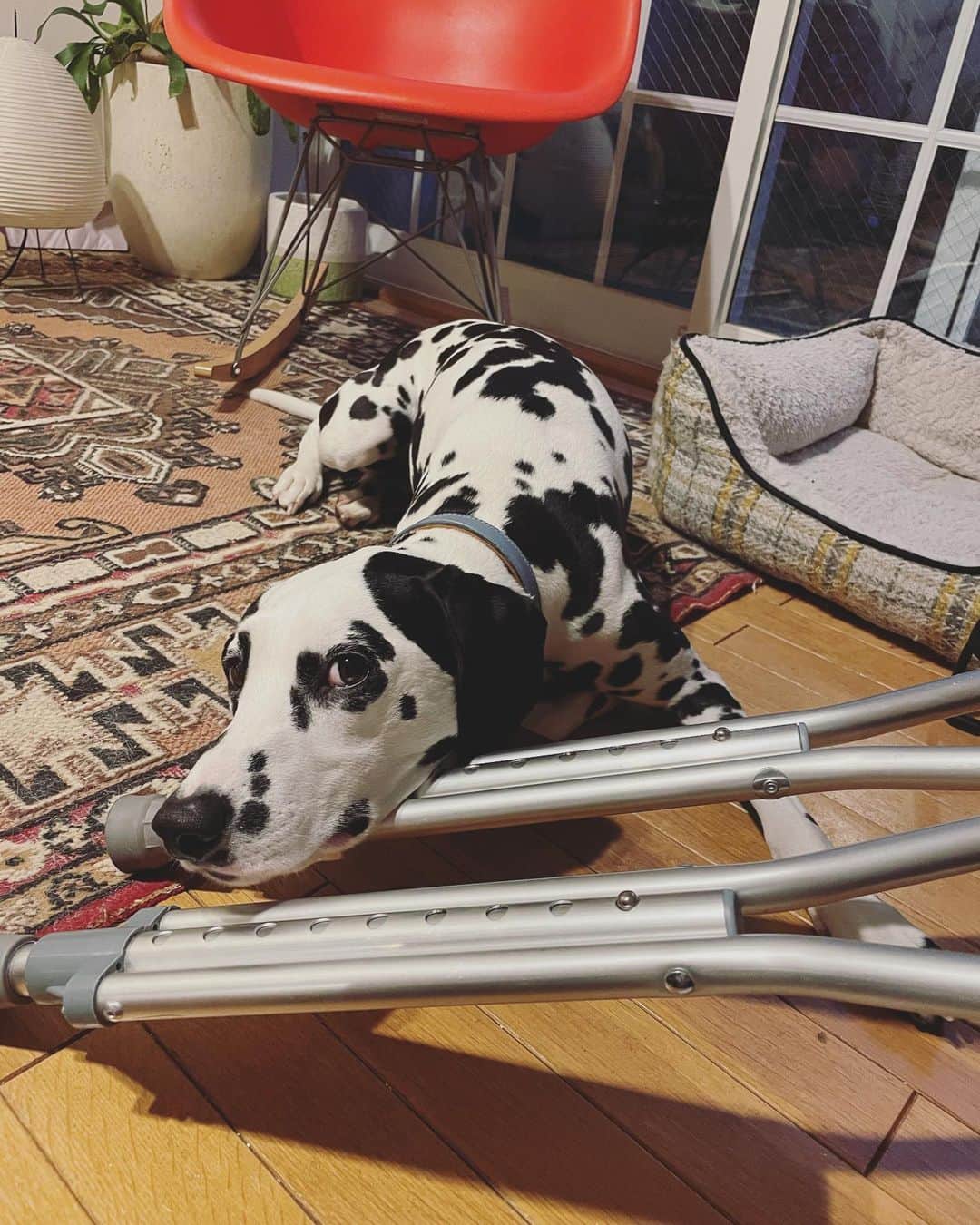 中島潮里のインスタグラム