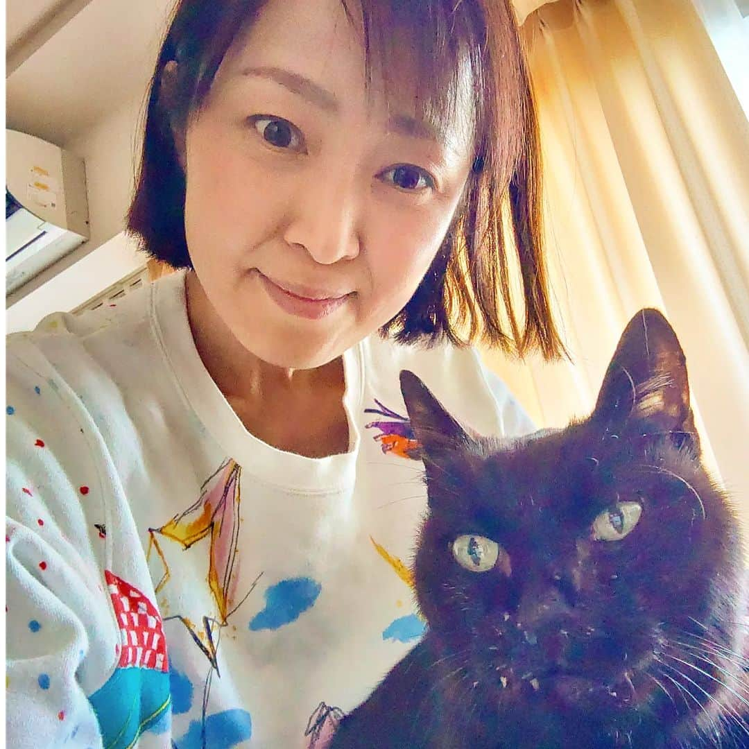 伊勢みずほさんのインスタグラム写真 - (伊勢みずほInstagram)「みんなに応援してもらって、メルシーもママも幸せです🥹💖  たくさん幸せもらってきたから メルシーも頑張って必死で生きてるから 私もとことん老猫介護を頑張ります🍀  苦しそうな我が子を見守ることがこんなにつらいなんてね。多分、第一位だね。  でも一緒にいられる尊い時間は、やっぱり幸せです。こんなに愛せる子に出会えて、本当に良かった。  メルシーボークーだよ😌  #メルシー　#黒猫は幸せを呼ぶ #黒猫同盟　#黒猫の可愛さ伝え隊 #老猫のいる生活　#老猫介護 #老猫 #猫部 #愛猫 #愛猫家 #愛猫との暮らし #愛してる #伊勢みずほ #blackcat #blackcatsclub #catphoto #catstagram #nocatnolife #love #lovefamily 　#ありがとう　#メルシーボークー #😘」4月7日 21時28分 - isemizuhoo