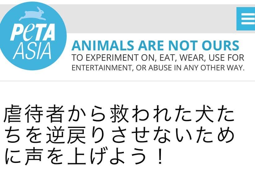 安藤志穂美さんのインスタグラム写真 - (安藤志穂美Instagram)「PETAが神奈川県へ、レスキュードアニマルネットワークへの返還阻止と団体の運営停止を命じるメールアクションのフォームを作ってくださいました。 ⁡ ⁡ PETAは以前にも、コピ・ルアクで苦しむジャコウネコの為にこのようなアクションフォームを作りましたが、 その際にも何万件という要望が届き、各店舗から商品を取り外させることに成功しています。 ⁡ ⁡ お時間ある方は、 私のプロフィールのハイライトから飛べますので、ご協力よろしくお願いいたします。  @peta  @petaasia_japan」4月7日 21時30分 - shiomi_ando