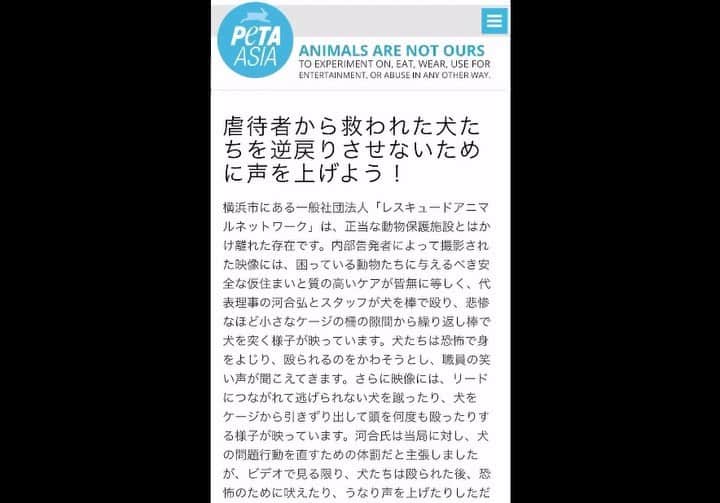 安藤志穂美のインスタグラム：「PETAが神奈川県へ、レスキュードアニマルネットワークへの返還阻止と団体の運営停止を命じるメールアクションのフォームを作ってくださいました。 ⁡ ⁡ PETAは以前にも、コピ・ルアクで苦しむジャコウネコの為にこのようなアクションフォームを作りましたが、 その際にも何万件という要望が届き、各店舗から商品を取り外させることに成功しています。 ⁡ ⁡ お時間ある方は、 私のプロフィールのハイライトから飛べますので、ご協力よろしくお願いいたします。  @peta  @petaasia_japan」
