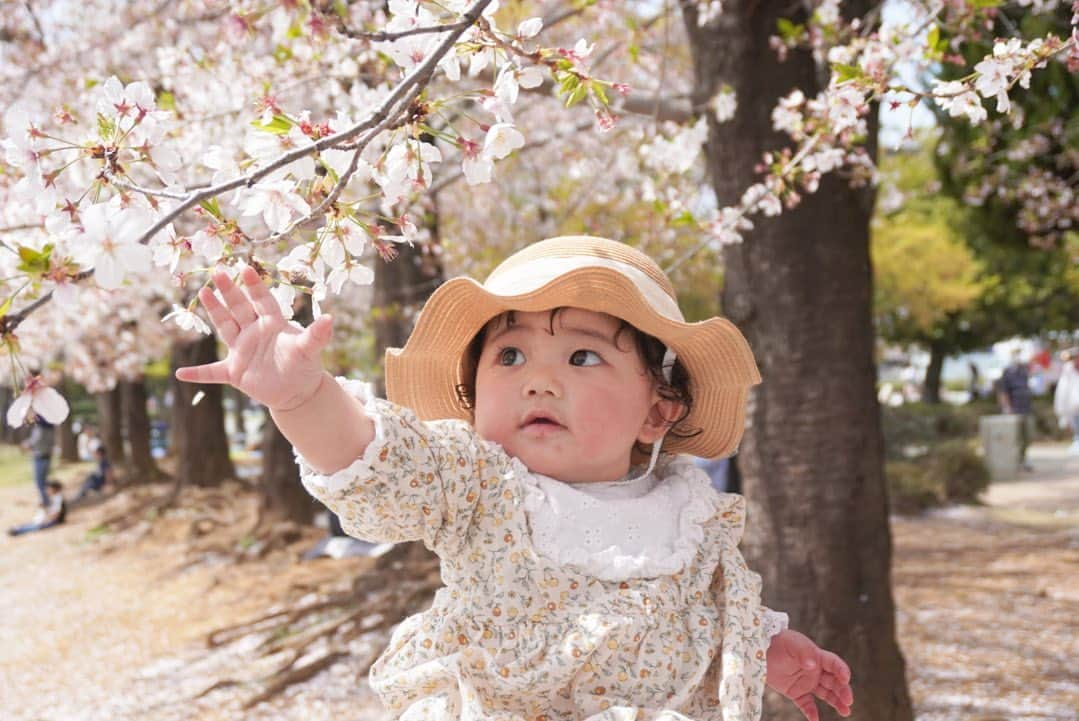 河西歩果のインスタグラム：「目に映る桜がきらきらしていて、思わず手を伸ばしたくなる娘を見て、わたしもなんだか背伸びしてみたくなったり☺️」