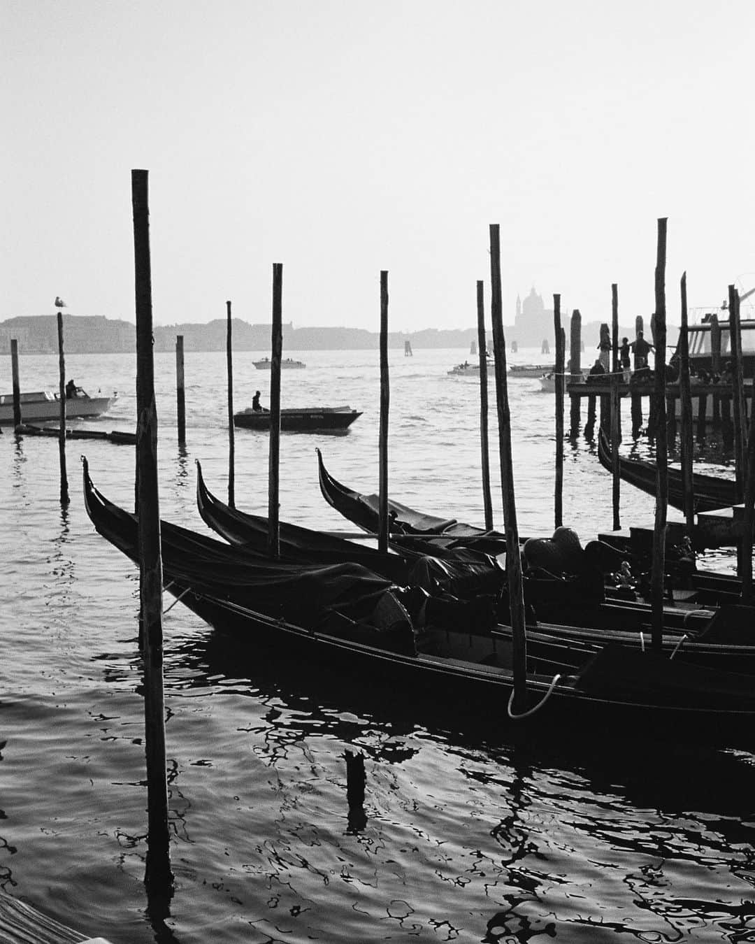 ケルシー・ロビンソンのインスタグラム：「Film from Carnival in Venezia ✨🌞🌸🦋」